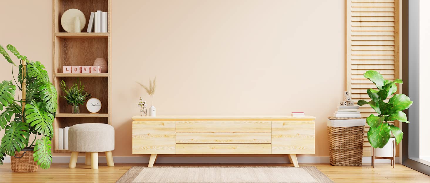 Набір з 2 шт. щітки для спини та душу з довгим руків'ям, для тіла, для пілінгу, натуральна щетина, видаляє омертвілу шкіру, зменшує целюліт, покращує лімфодренаж