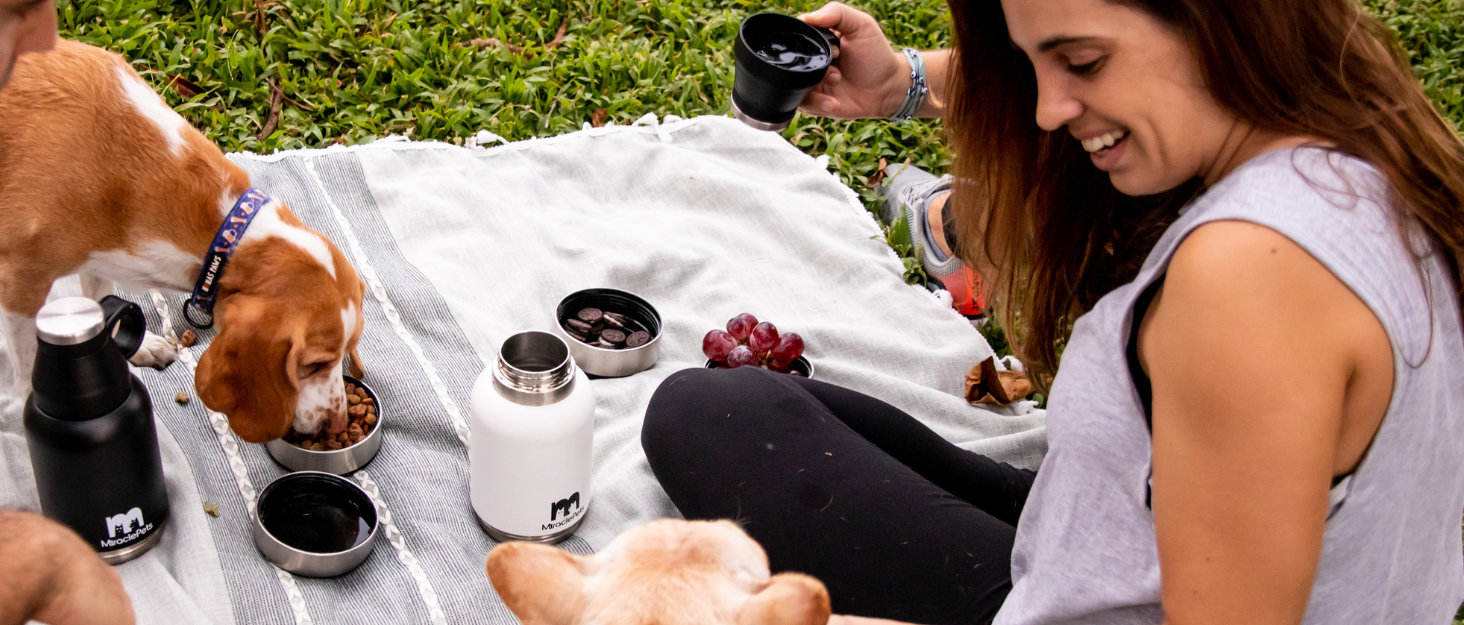 Рюкзак для собак Miracle Pets Rufftrails - зручний та надійний