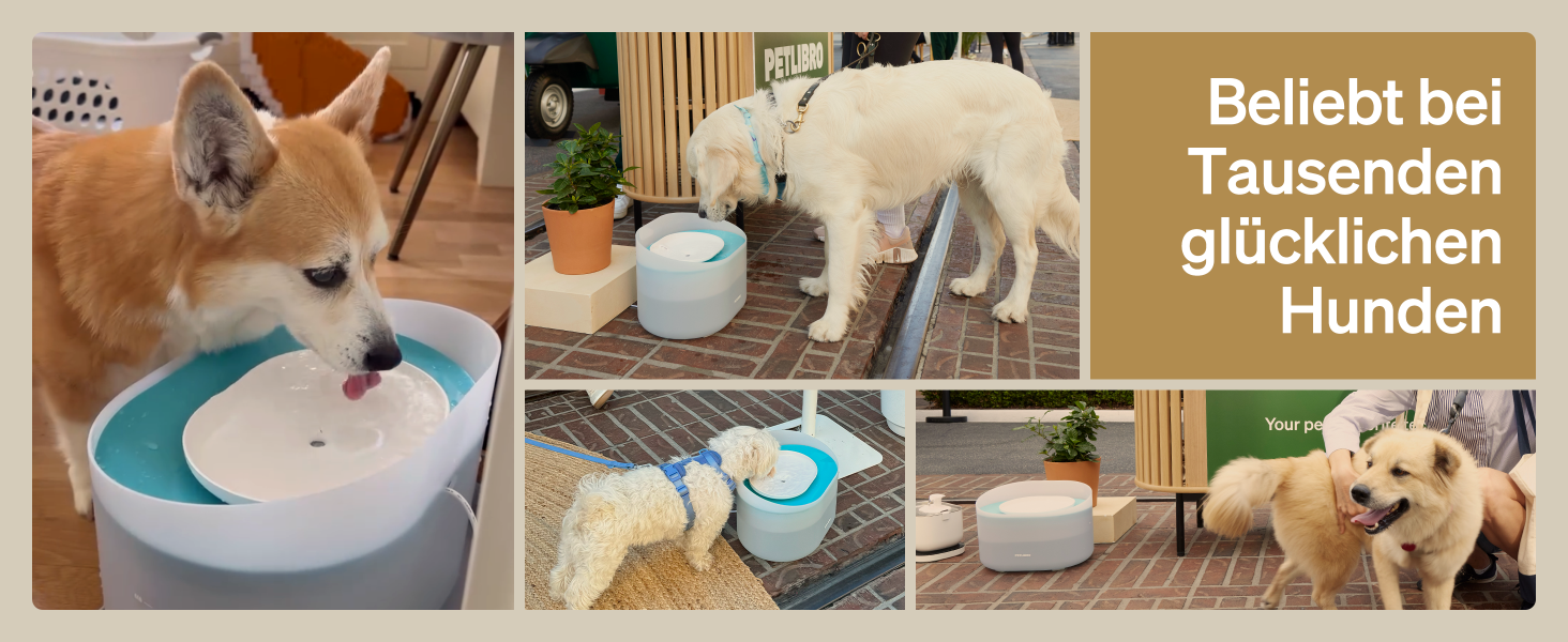 PETLIBRO фонтанчик для собак і котів, 8 л, білий, тихий (26 дБ), анти-розливний захист, легко миється, підходить для великих собак та кількох котів