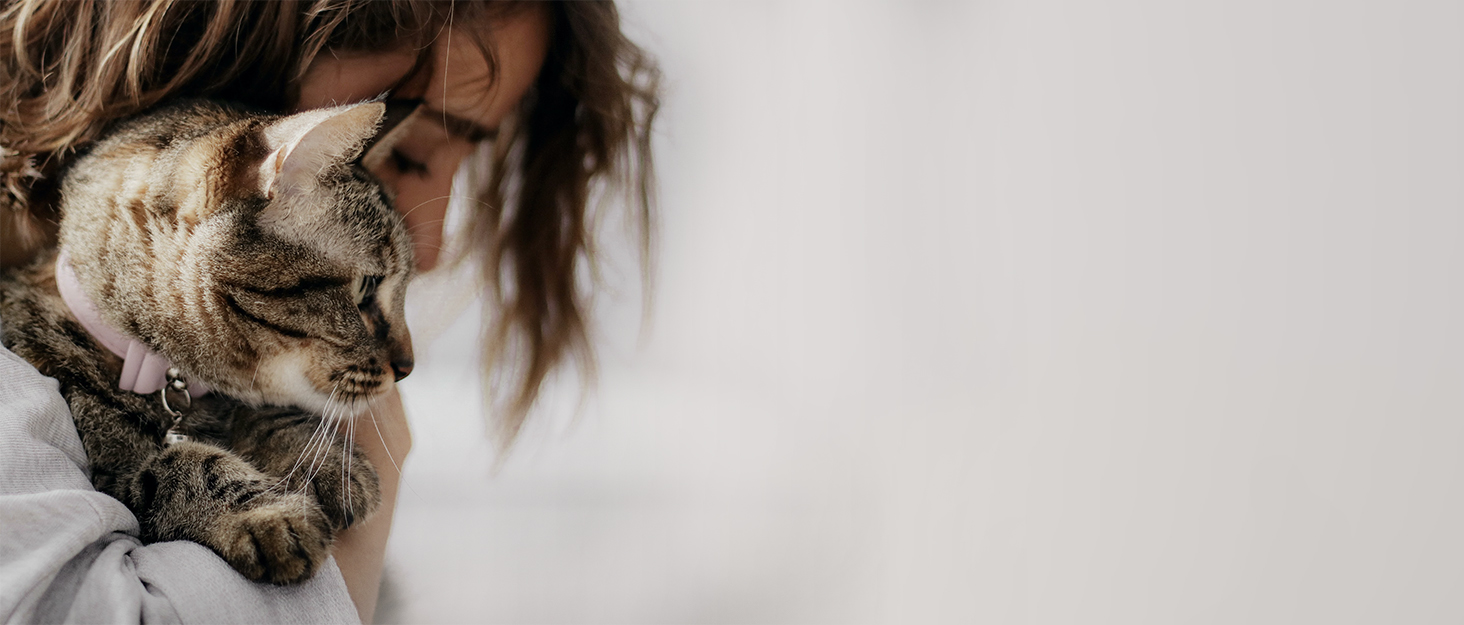 Автоматичний годівниця для котів та собак 5L з Wi-Fi, керування через додаток, 1-10 прийомів їжі на день