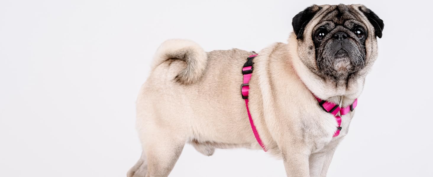 Шлейка для собак Chaba Guard середнього розміру, контрольована, протисмикова, регульована, комфортна та легка, класична Step-in, для прогулянок, розмір L, колір Морський