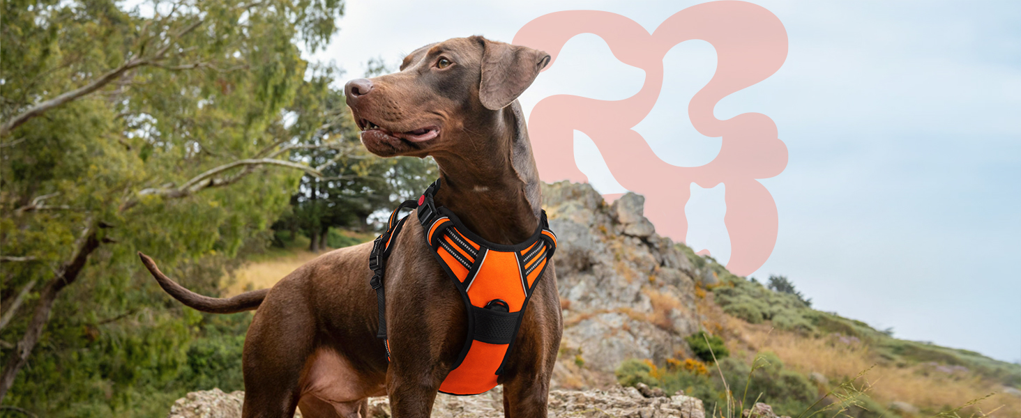 Нашийник для собак Rabbitgoo великих порід, регульований, анти-тяга, з ручкою, м'який, світловідбиваючий, помаранчевий, L (1 шт.)