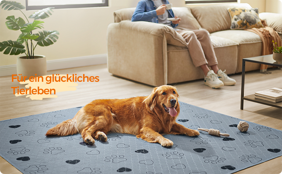 Підстилка для собак Feandrea, 2 шт., 122 x 91 см, XL, сіра, нековзна, швидковисихаюча, для дому