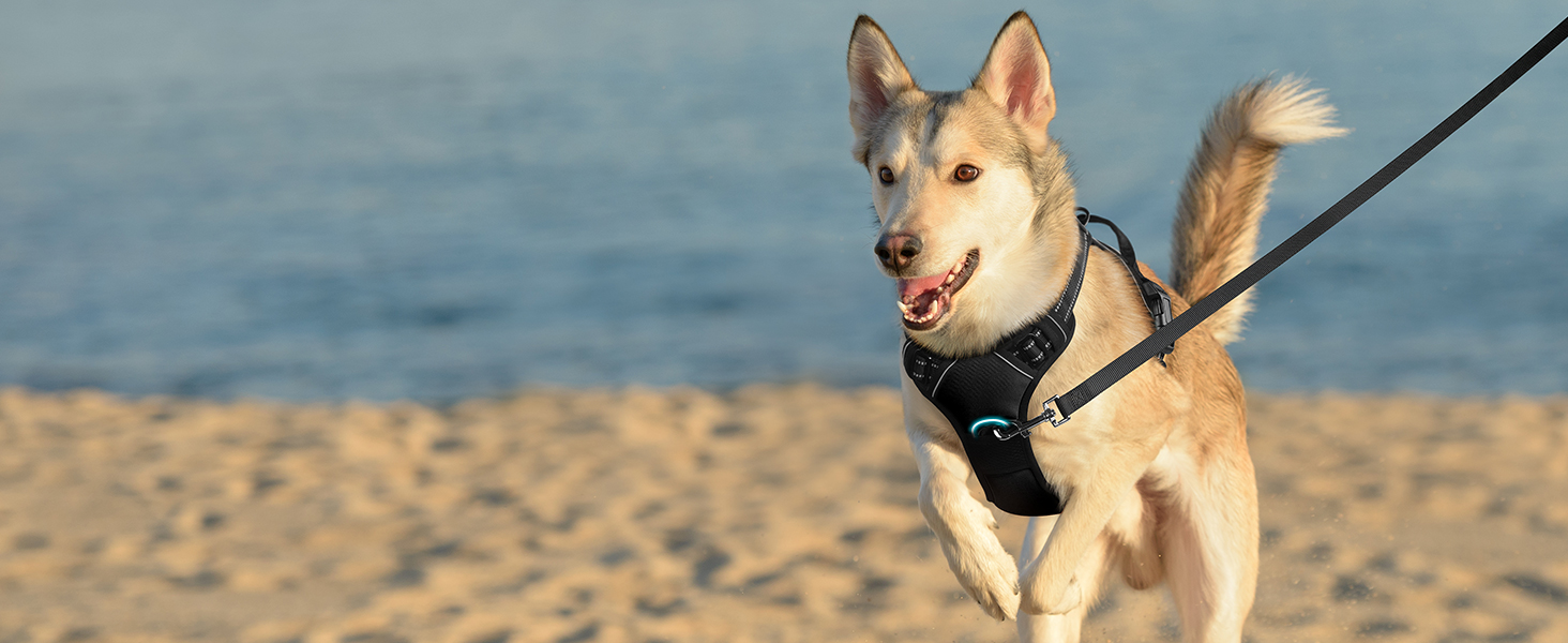 Нагрудник для собак великих порід Eagloo, чорний, розмір L, анти-тяга, з відбиваючими смугами, регульований