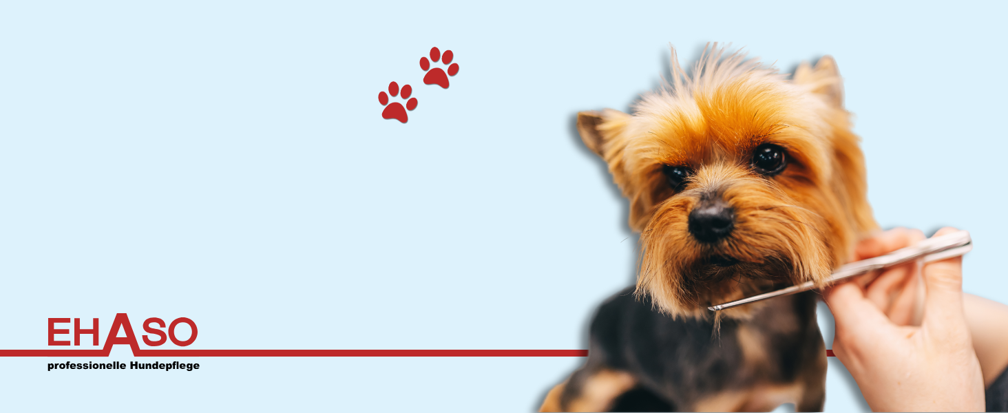 Ножиці для грумінгу собак EHASO Premium, 10 см, з круглою кінцівкою | Професійні ножиці для собак, точні та зручні | Підходять для всіх порід