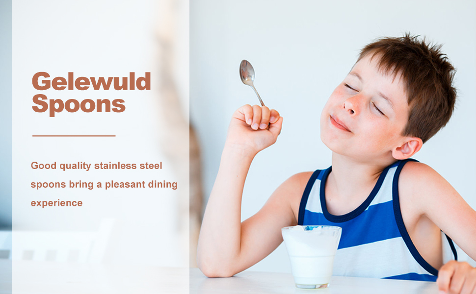 Набір з 12 ложок для лате макіато, нержавіюча сталь, довгі чайні ложки, ложки для десертів та кави