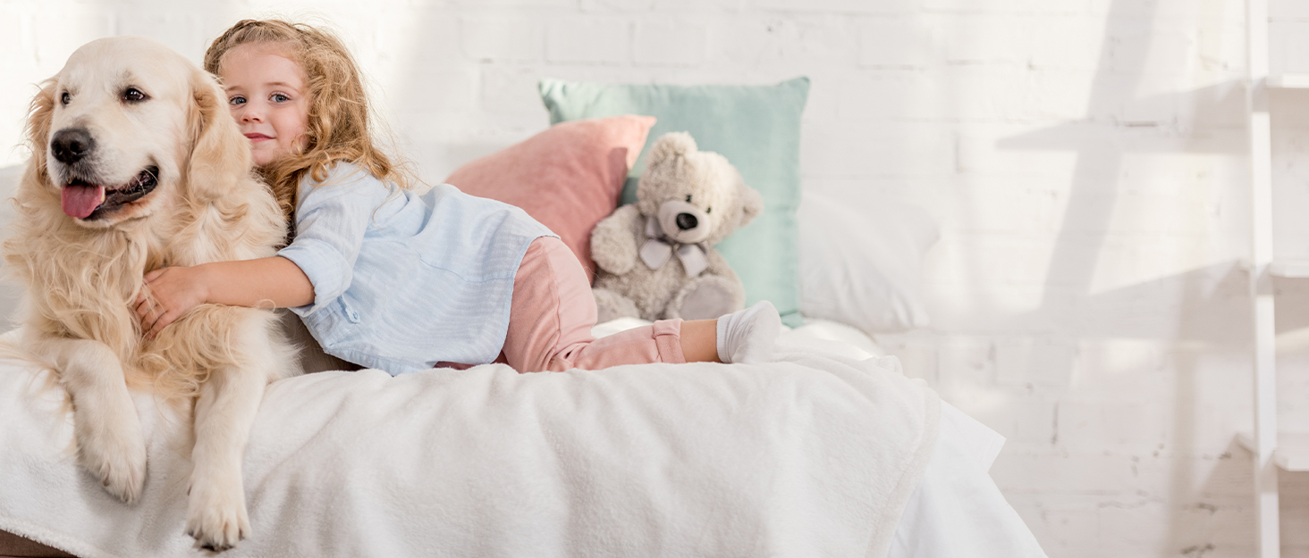 Ортопедичний лежак для собак KSIIA, великі породи, 104x68x8 см, знімний, миючий, сірий