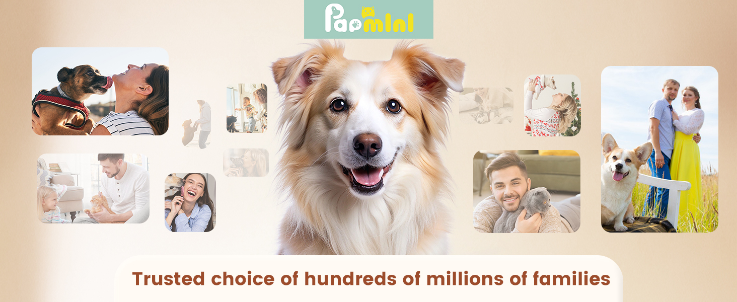 Машинка для стрижки собак 2 в 1 з тримером для лап, тиха, з LED-підсвічуванням, професійна, Type-C, для малих та великих собак і котів