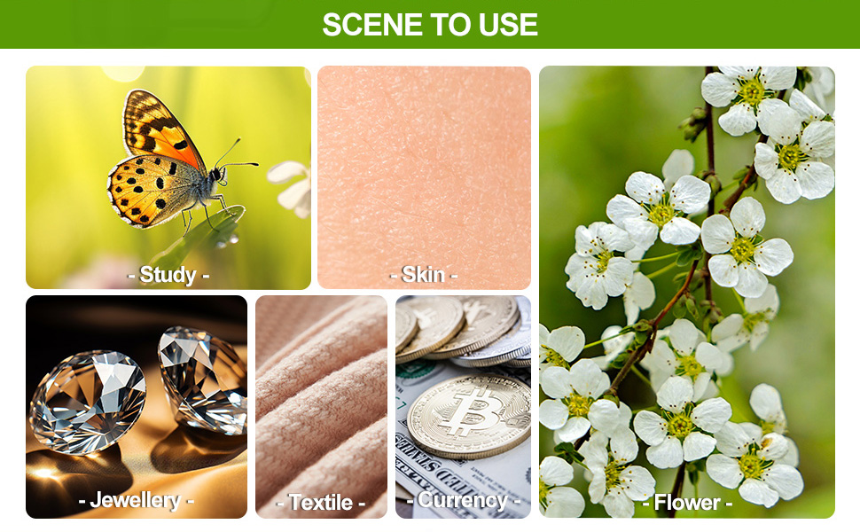 BEBANG Кишеньковий мікроскоп 60x-120x з LED-підсвічуванням, ручний мікроскоп для дітей, студентів та дорослих, для мікробіологічних спостережень, з залізом