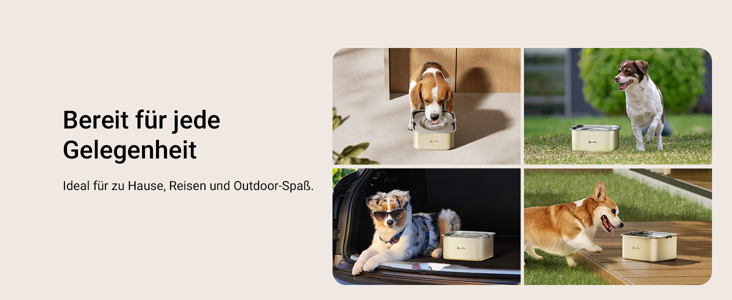 Миска для собак DownyPaws 3L, неркає, з нержавіючої сталі, чорна. Для дому та вулиці, запобігає розбризкуванню води.