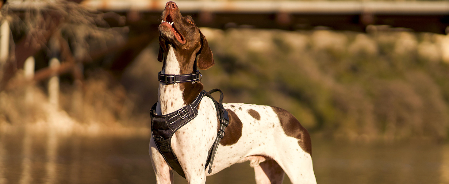 Шлейка для собак Joytale, середнього розміру, світловідбиваюча, дихаюча, з ручкою для контролю та тренувань, сіра, M (1 шт.)