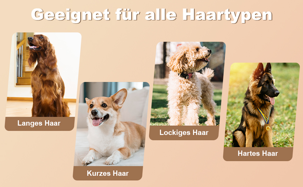 Професійний триммер для собак PawTrim Pro: безшумний, акумуляторний з LED та цифровим дисплеєм. Для догляду за лапами, очима, вухами та обличчям собак та котів.