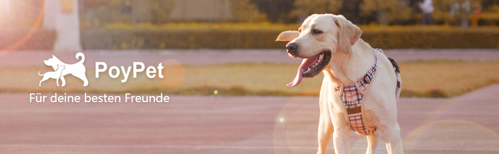 Нашийник для собак PoyPet без натягу, світловідбиваючий, м'який, з легким доступом, для маленьких собак (S, в клітинку, бежевий)