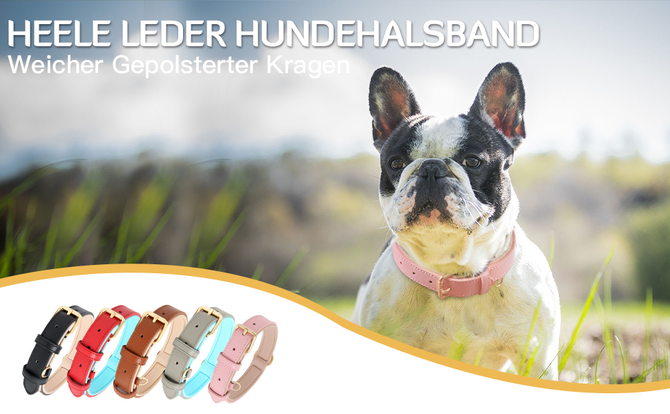 Нашийник для собак Heele з натуральної шкіри, рожевий, регульований, великий розмір (L), 1 шт.