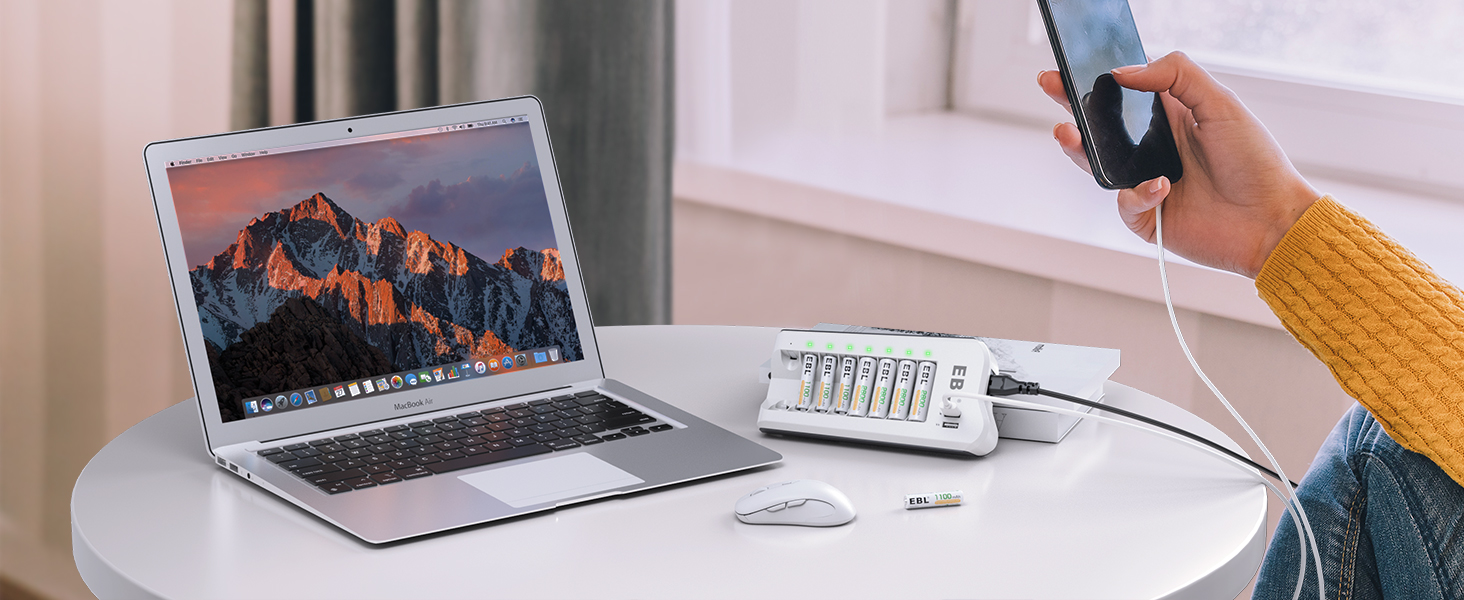 Зарядний пристрій EBL для акумуляторів AA/AAA NI-MH/NI-Cd та USB пристроїв, 8 слотів, LED дисплей, 2 USB порти (без акумуляторів)