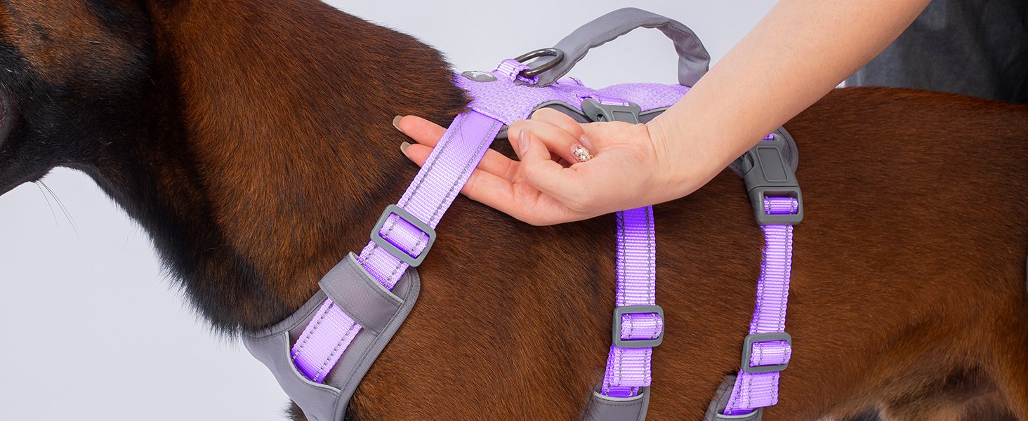 Шлейка безпеки для собак Huntboo, анти-втеча, для панічних собак, з ручкою, регульована, для маленьких, середніх та великих собак (лавандовий, M)