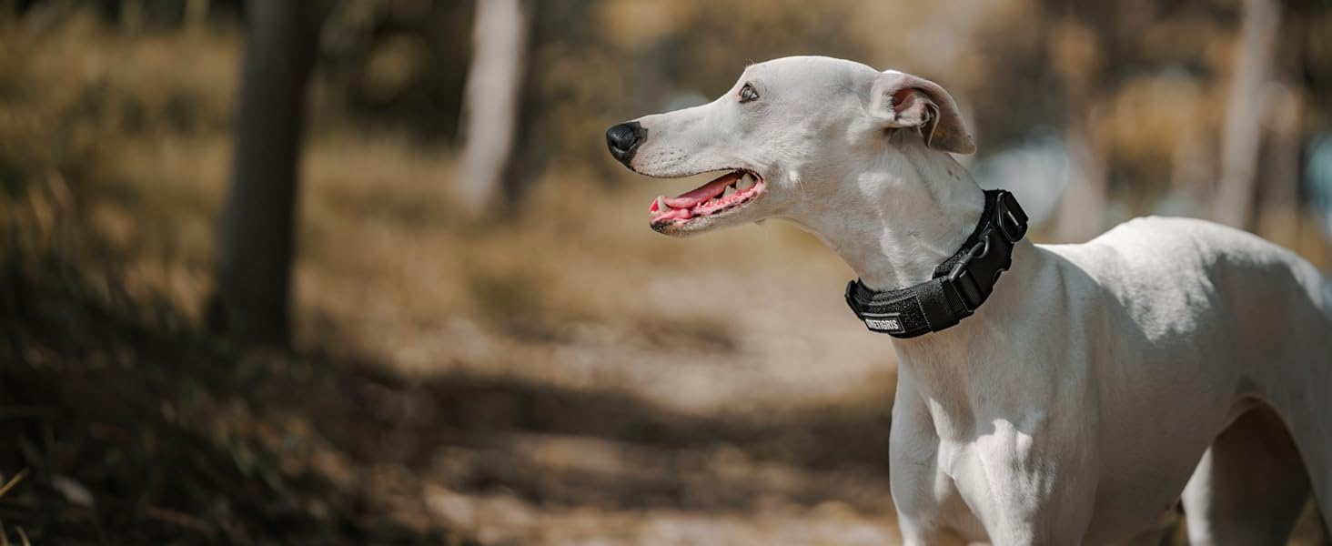 Нашийник для собак OneTigris, тактичний, з ручкою, чорний, S (25-33 см)