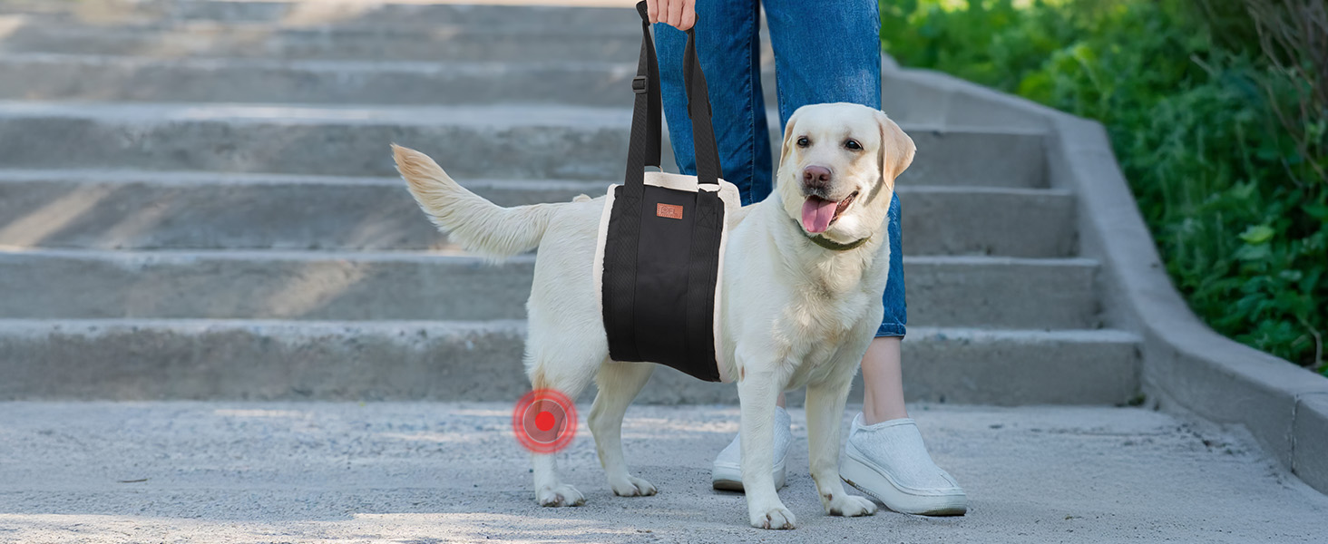 Регульована переносна допомога для собак, переносна лямка для реабілітації, поранених, травмованих або літніх собак - шлейка для собак як засіб допомоги при ходьбі для маленьких і великих собак, сірий колір, XL