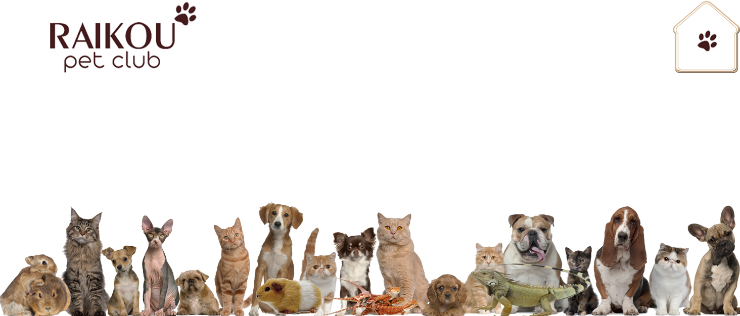 Підстилка для собак Raikou 90x90 см, чорна, з неслизьким покриттям та блискавкою