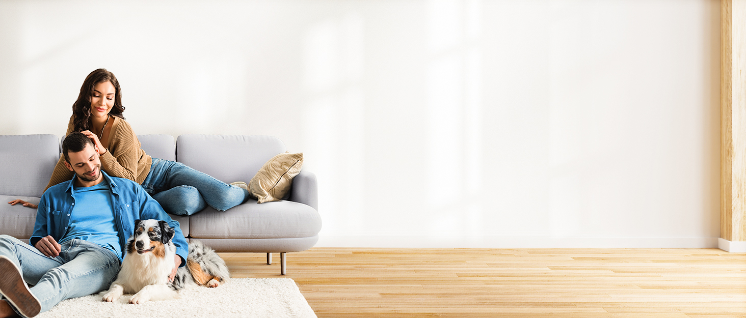 Бездротовий акумуляторний пилосос Fieety 600W з турбощіткою для тварин, 65 хвилин роботи, 8-шарова фільтрація та ароматерапією, для дому, авто та твердих поверхонь