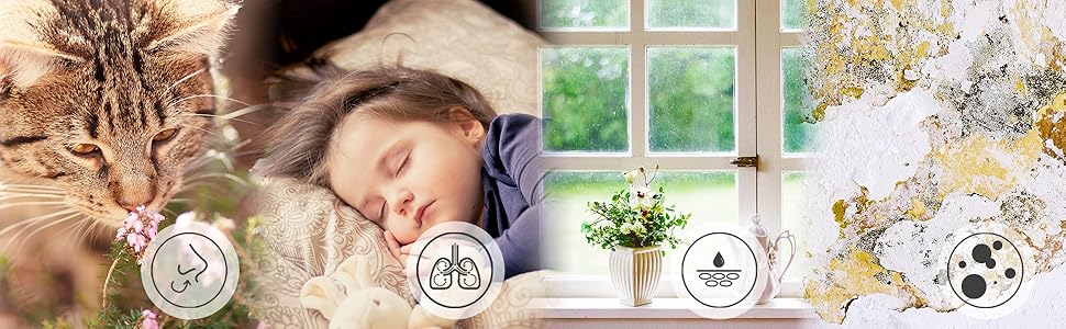 Зволожувач повітря Duronic DH06 WE - тихий, для кімнат 5-10 м², об'єм бака 0.8 л, 23 Вт, проти цвілі та конденсату