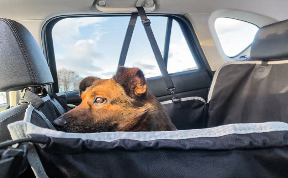 Waterproof & Scratch-Resistant Dog Seat Cover for Car Back Seat - Non-Slip & Side Protection Hammock for Small, Medium & Large Dogs - Single Seat