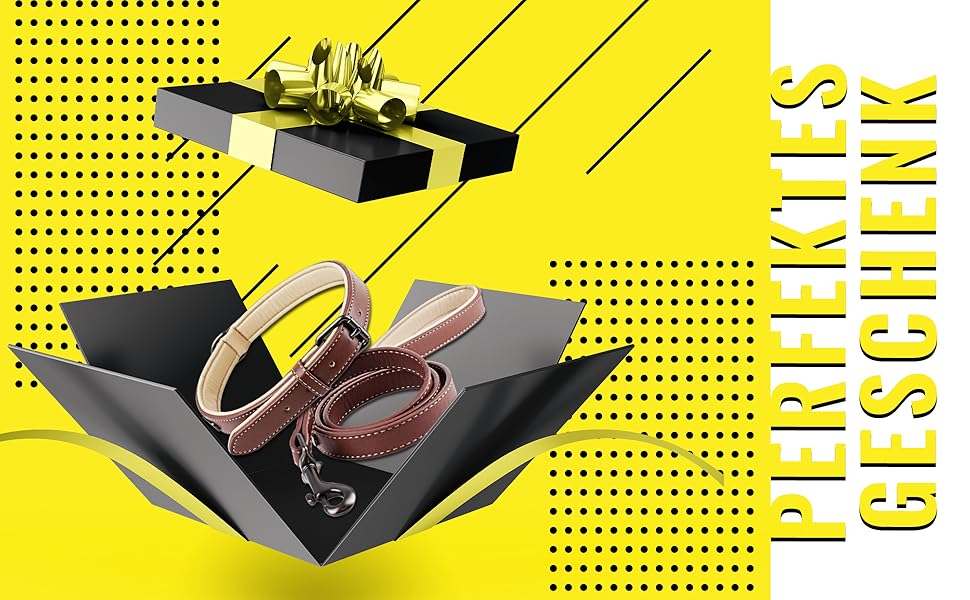 Набір повідка та нашийника ne&no® (веганська шкіра) для собак. Міцний поводок з карабіном, регульований нашийник. Розмір S, коричневий/бежевий, персоналізований.