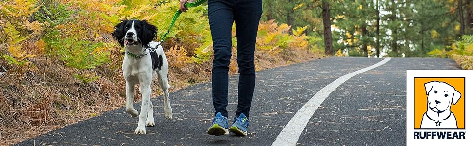 Ruffwear Chain Reaction регульований нашийник для собак, металевий ланцюжок