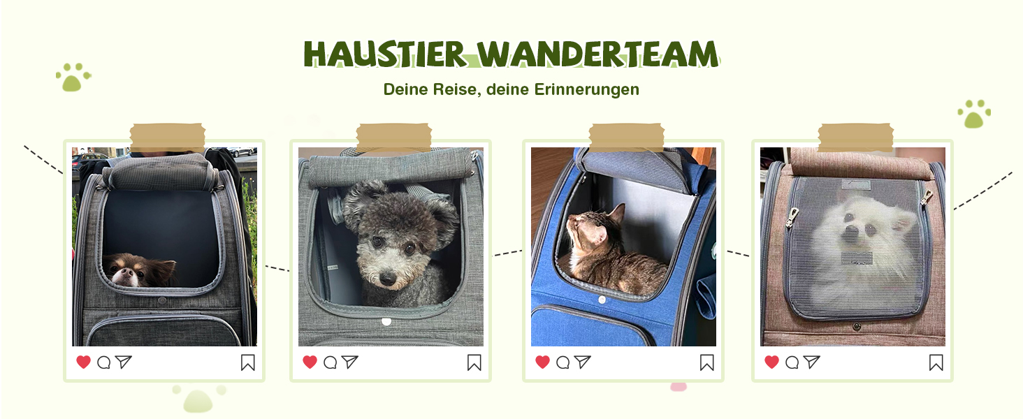 Рюкзак для котів та собак ALLSOPETS, складний, дихаючий, з сонцезахистом, для маленьких котів та собак, ідеальний для подорожей, кемпінгу та піших прогулянок (Беerenроже)