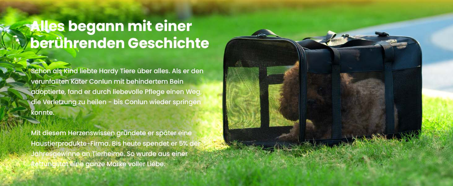 Транспортна переноска для котів Conlun, м'яка переноска з сіткою з 4 сторін, підходить для перевезення в літаку, для кошенят та невеликих котів до 6 кг, складана переноска для собак, (51x31x31 см, блакитна)