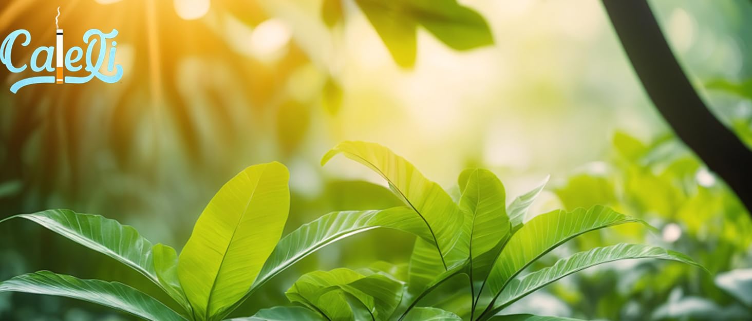 Елегантне металеве тютюноприладдя для 16 сигарет з подарунковою коробкою, срібного кольору