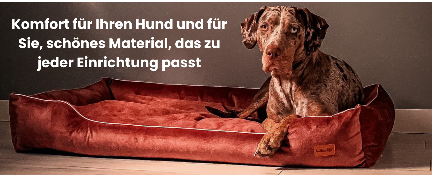 Софа для собак з велюру – знімний та пральний лежак з високими бортиками – для малих та великих собак (M (80x50x18 см), Сірий)