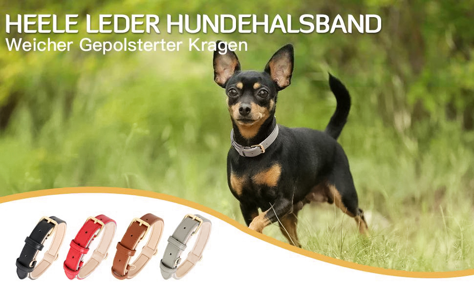 Нашийник для собак Heele з натуральної шкіри, регульований, для великих собак, сірий (1 шт.)