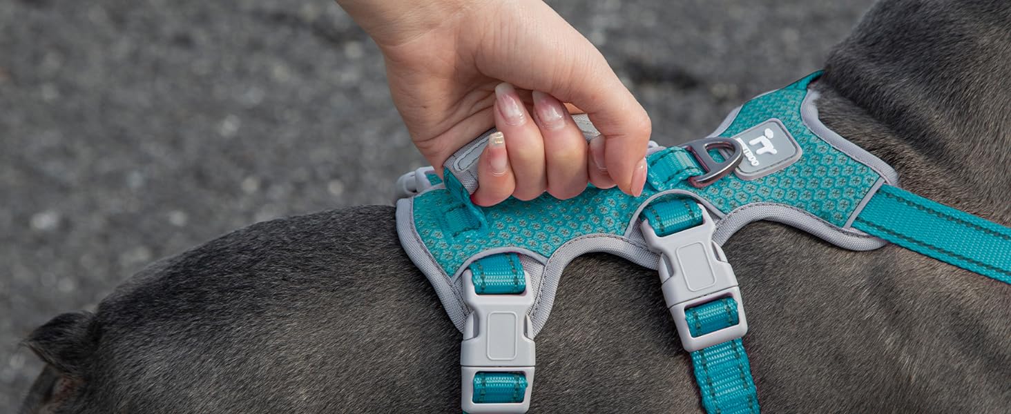 Шлейка безпеки для собак Huntboo, антизламна, зі світловідбиваючими елементами та м'якою ручкою, регульована жилетка для маленьких собак, для прогулянок та тренувань (S, Синій, X-Small, упаковка з 1)