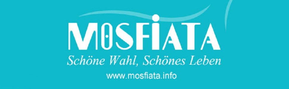 MOSFiATA Кухонний ніж для м'яса 20см з нержавіючої сталі EN.4116, професійний, з захистом пальця та точилкою в подарунковій коробці