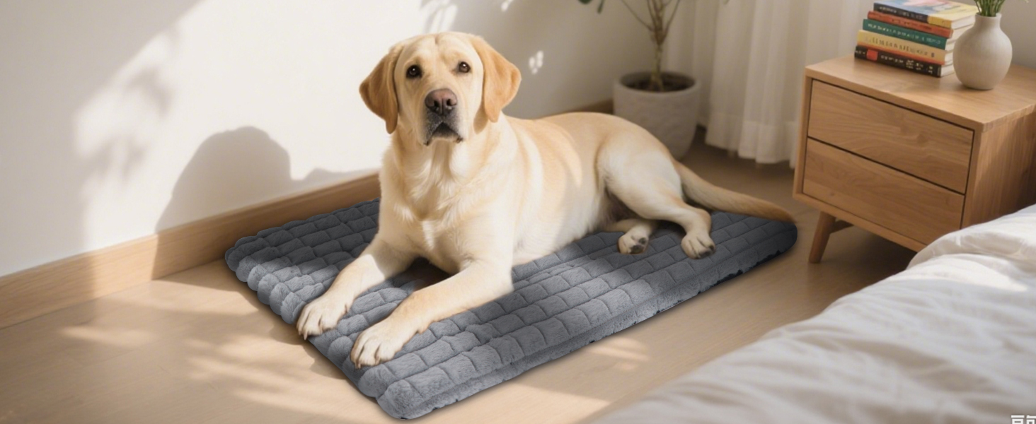 М'яке ортопедичне ліжко для собак BVAGSS, 60x45 см, сірого кольору. Зручна, миюча, з неслизьким дном. Підходить для собак маленьких, середніх та великих порід.