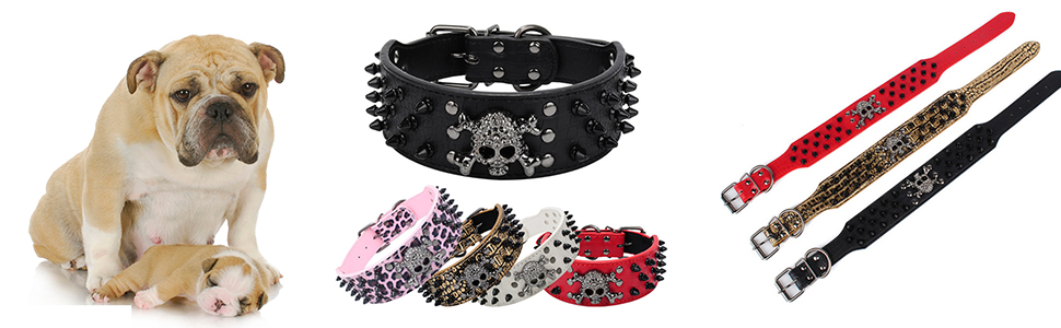 Нашийник для собак ETOPARS з черепом та шипами, з регулюванням, з крокодилової шкіри, золотий (M)