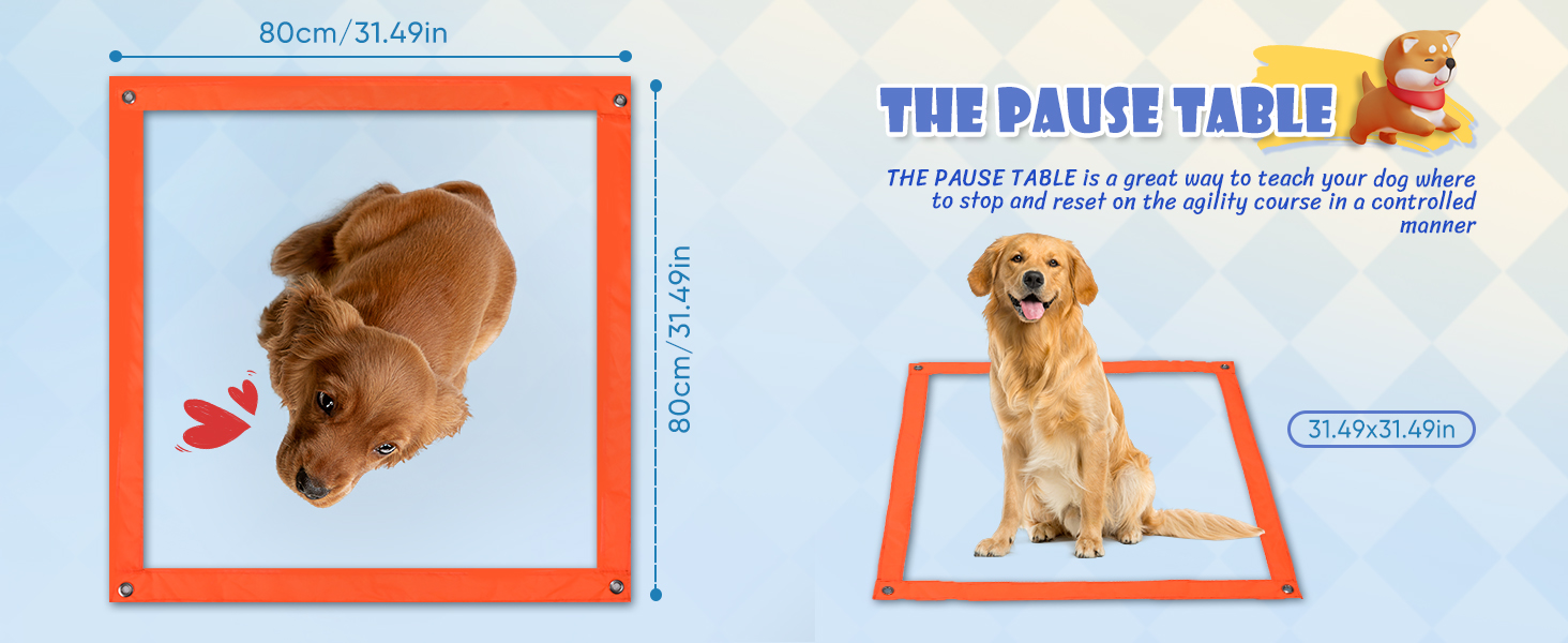 Набір для аджиліті для собак 70 елементів: 8 шлагбаумів, стрибкова петля, м'яч, ящик для перерви, сумка для ласощів, переносна сумка. Розвиває інтелект.