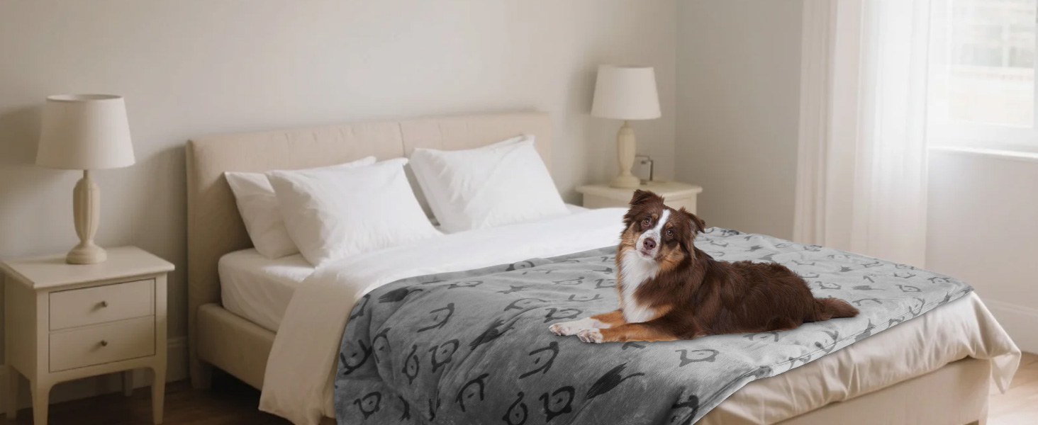 Водонепроникний плед для собак Nobleza XXL (203 x 152 см), м'який та пухнастий, для собак та котів, можна прати в машині, двосторонній чохол для дивану, сірий