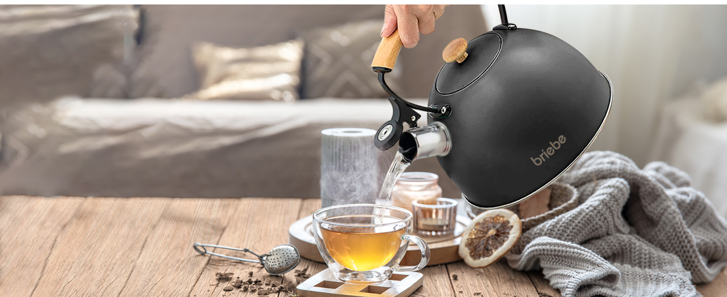 Чайник електричний Nordic Wasserkessel Induktion 2.3L, з свистком, з нержавіючої сталі, ретро дизайн, для всіх типів плит (склокераміка, газ, електро), з дерев'яною ручкою Cool-Touch, для чаю та кави, чорний