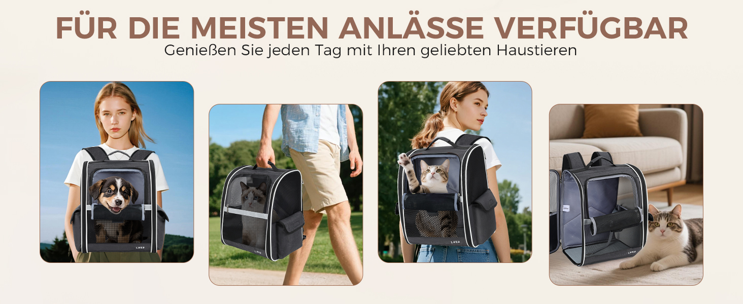 Рюкзак для собак та котів середніх та маленьких порід (2-8 кг), рюкзак-переноска з сіткою для прогулянок, подорожей, відпочинку на природі (чорний) M Чорний