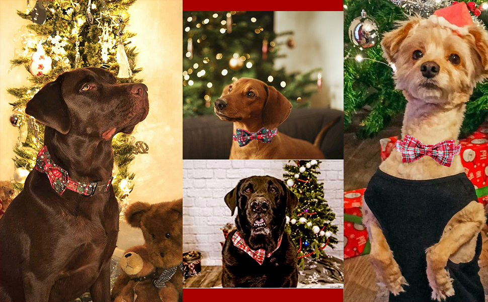 Нашийник для собак Lionheart Glory з візерунком клітинки, регульований м'який нашийник з метеликом, нашийник з бантиком для середніх собак, подарунок для домашніх тварин, червоно-зелена клітинка (1 шт.)