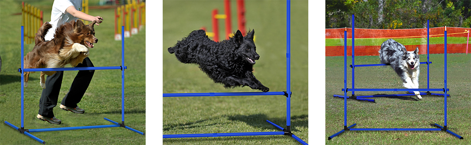 Набір для аджиліті для собак: перешкоди, стрілки, обладнання для тренувань. Регульована висота, 104x70x101 см, зелений (блакитний)