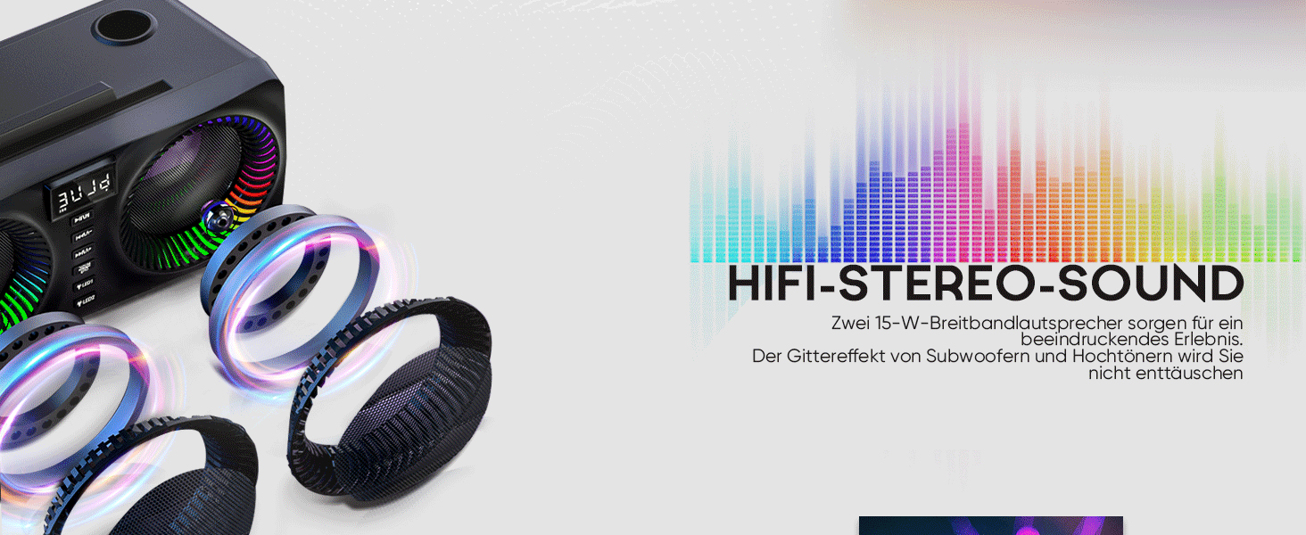 Караоке система All-in-One з Bluetooth, 2 мікрофонами та акустикою 30W, PA система для вечірок (Чорний)