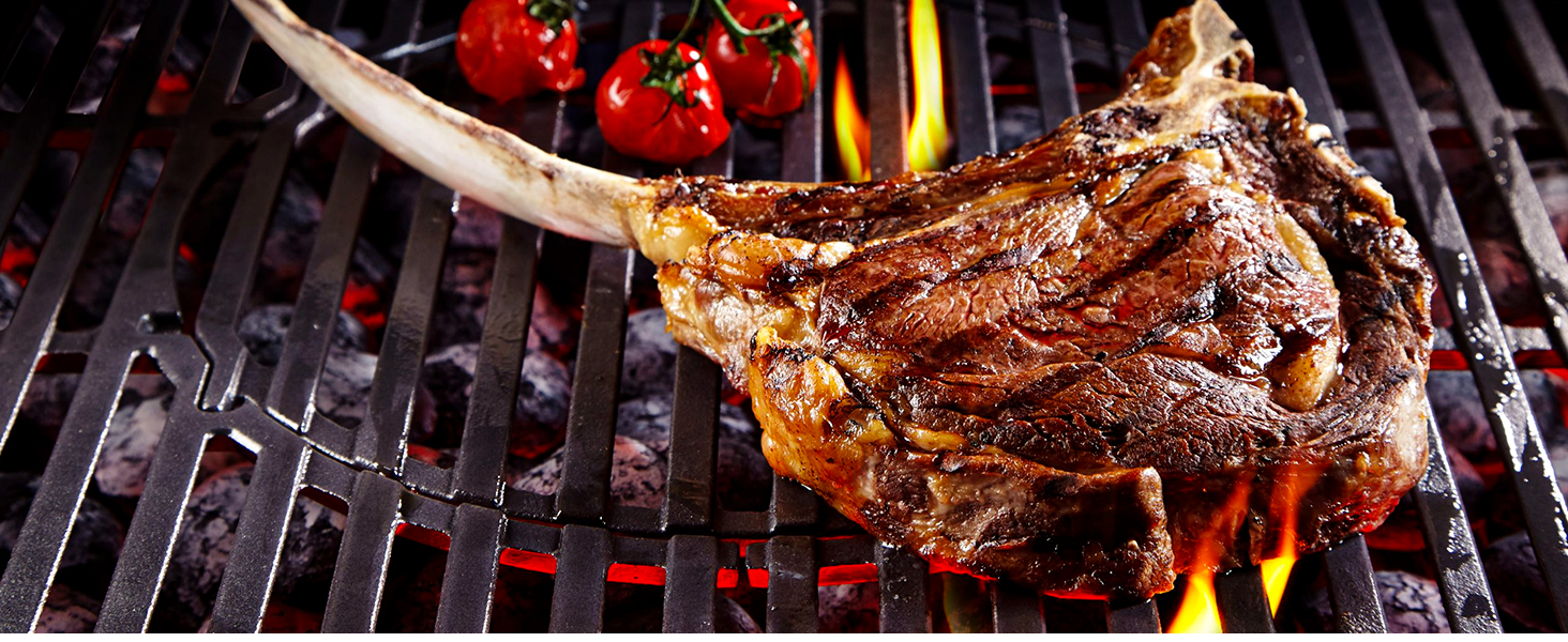 Термометр для м'яса ThermoPro TP03H: точний термометр-щуп для гриля та приготування їжі (IPX6, вологостійкий)