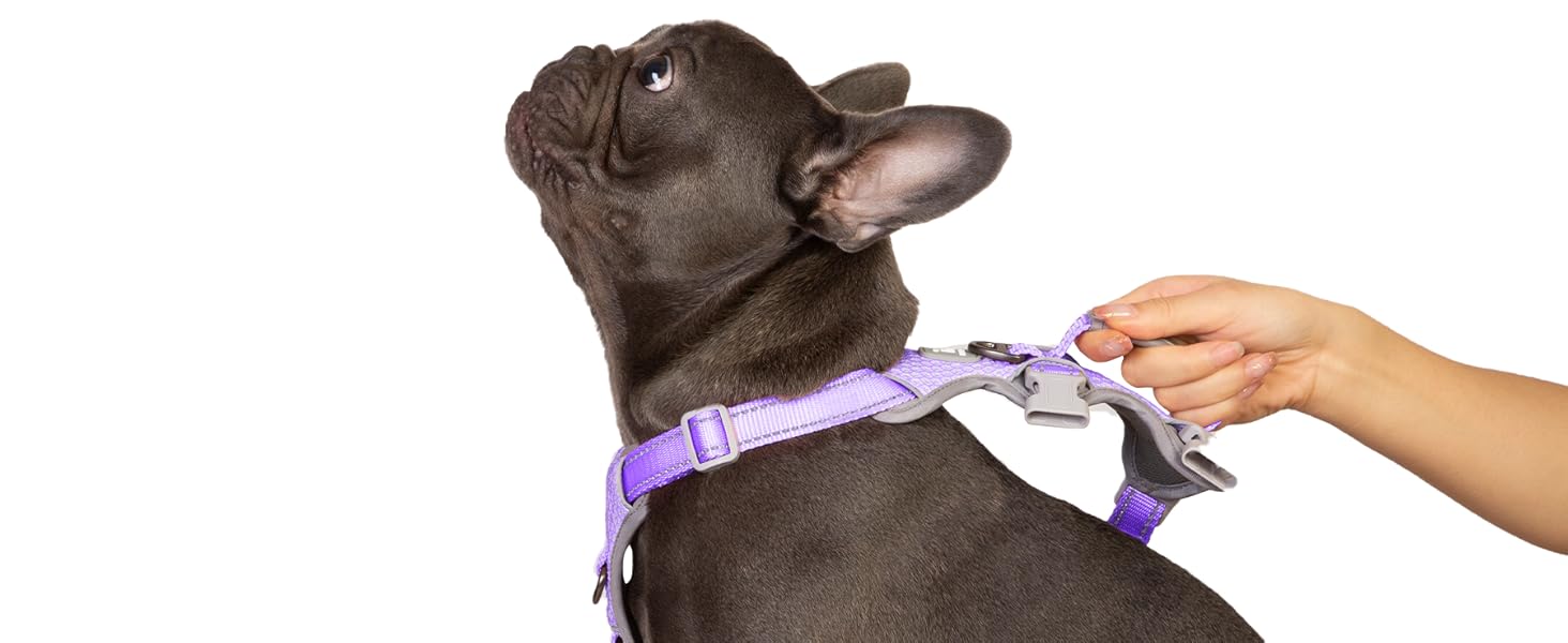 Шлейка для собак Huntboo, безпечна та надійна, з відбиваючими елементами та м'якою ручкою, регульована жилетка для маленьких собак, для прогулянок та тренувань (S, Лавандово-фіолетовий, упаковка з 1)