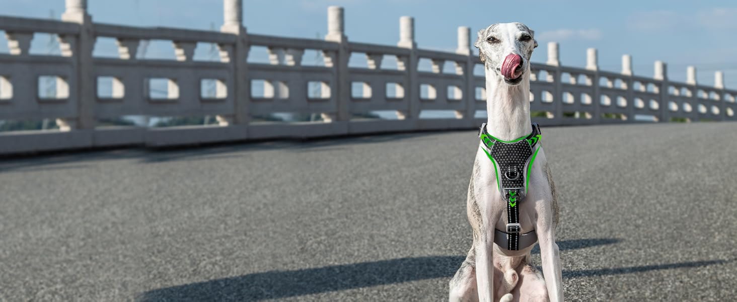 Шлейка безпеки для собак Huntboo, анти-пробіжна, світловідбиваюча з м'якою ручкою, регульована жилетка для маленьких собак, для прогулянок та тренувань (S), чорна, X-Small (упаковка з 1)