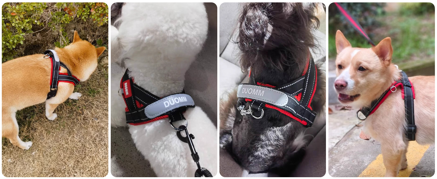 Нашийник для собак середніх та маленьких порід з повідком, кольоровий, з м'якою підкладкою, з ручкою та кільцем, світловідбиваючий, легкий, чорно-сірий, розмір M