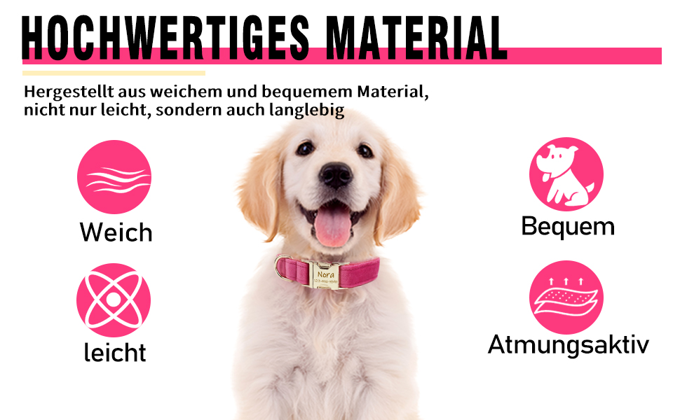 Персоналізоване собаче нашийник з металевою застібкою: напис та номер телефону. Регульовані розміри для собак середніх та великих порід.