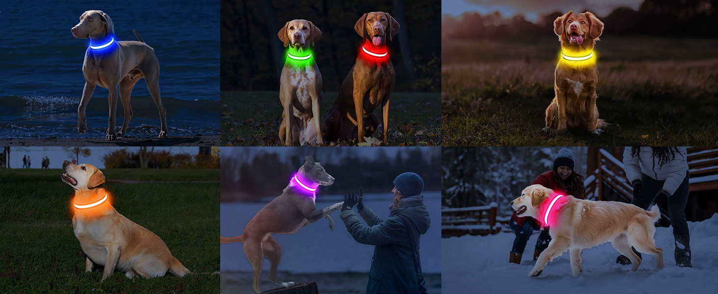 LED нашийник для собак з підзарядкою, вологостійкий світлодіодний нашийник, 7 кольорів, регульований для малих та великих собак, блакитний (L)